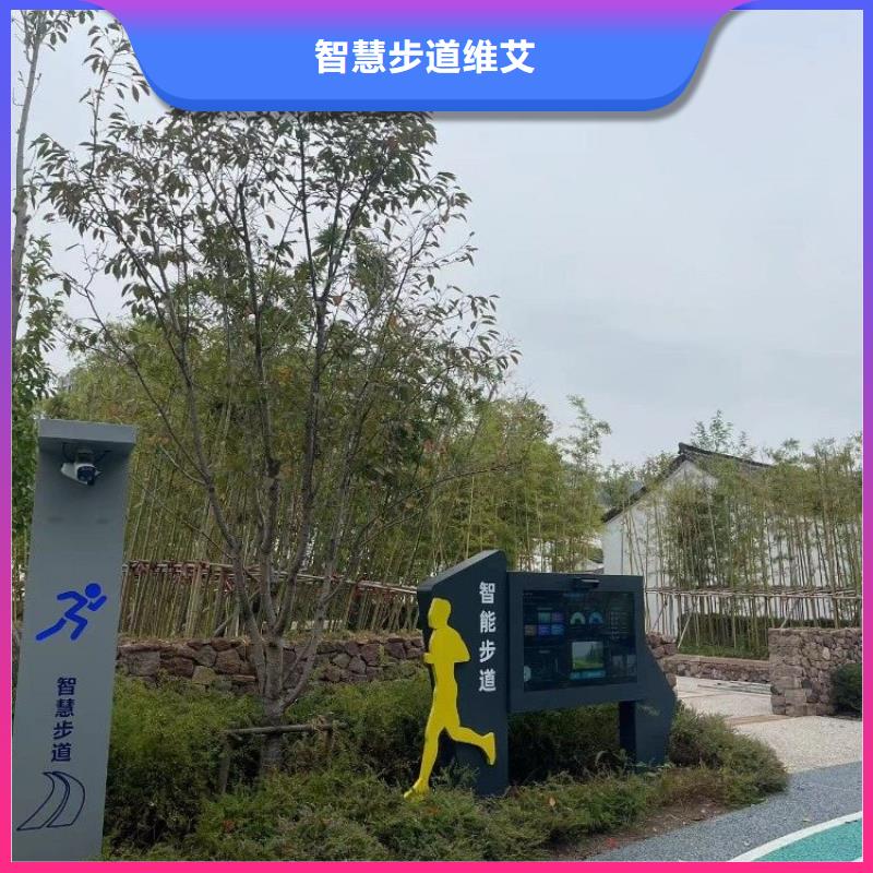 智能跑道造价（维艾狄尔）