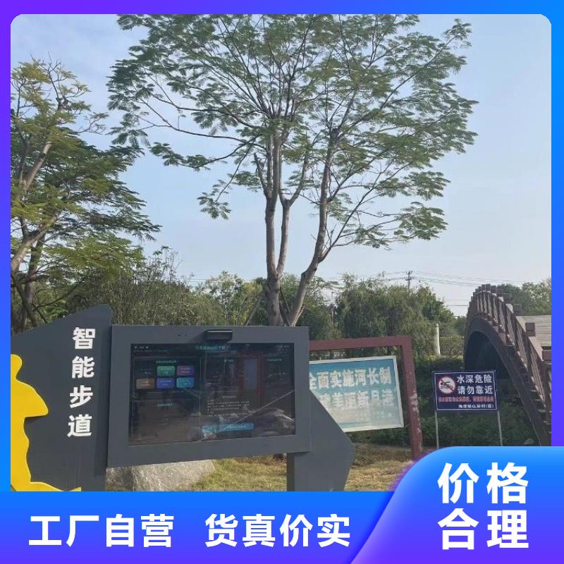 智慧动态影像陪跑步道墙现货销售