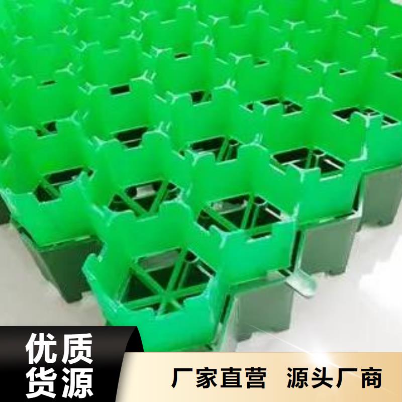 塑料植草格厂家代理商