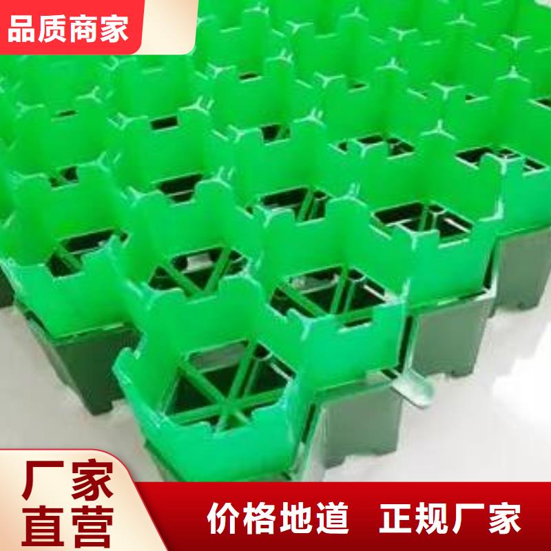 【植草格】水泥化粪池专注产品质量与服务