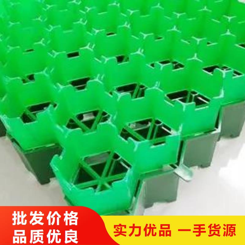 【植草格】防护虹吸排水收集系统客户信赖的厂家