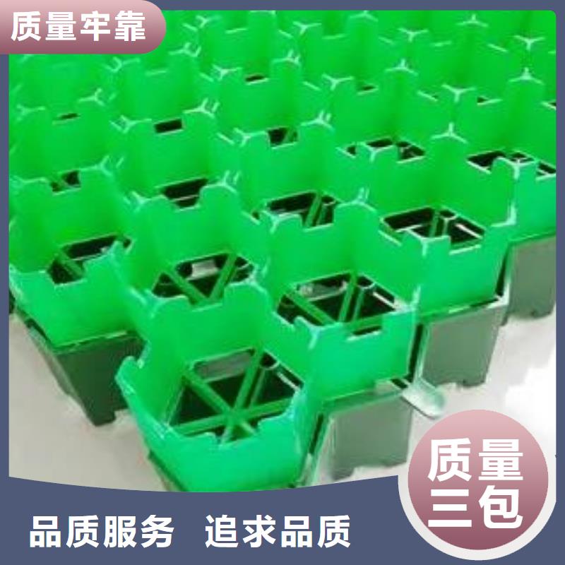 塑料植草格哪里能买