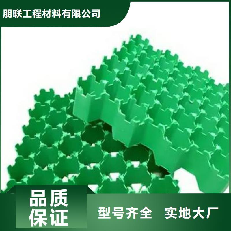 塑料植草格厂家代理商