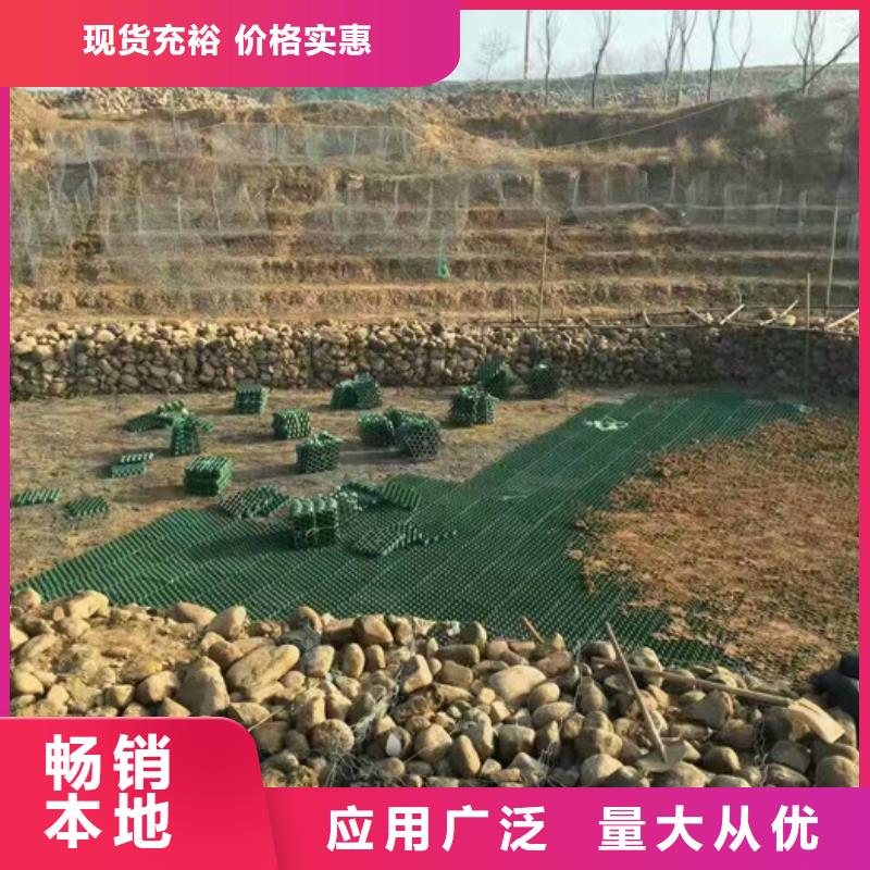 塑料植草格-规格全