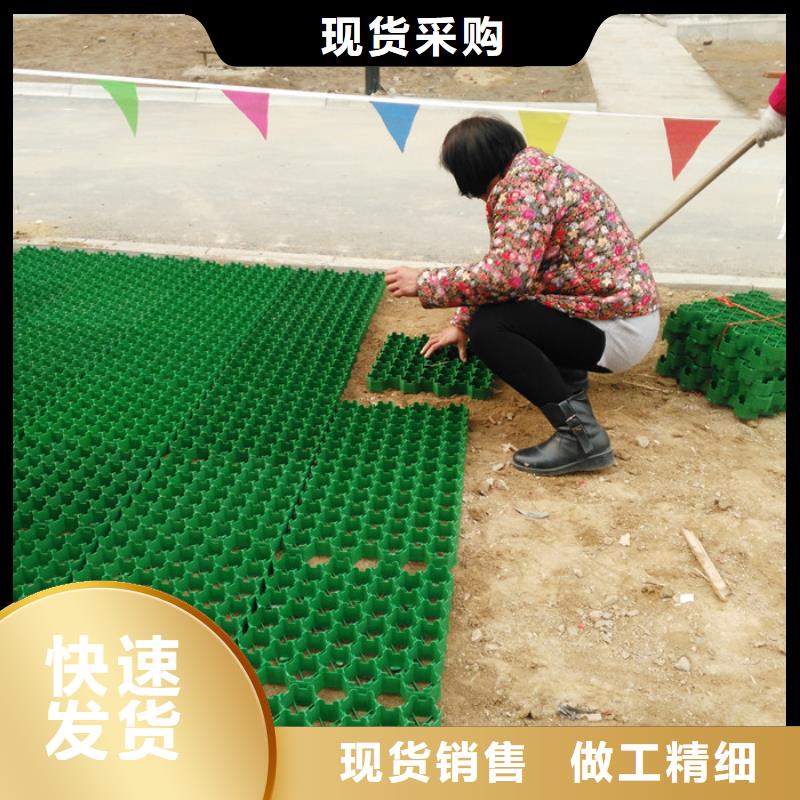 植草格水泥化粪池价格低