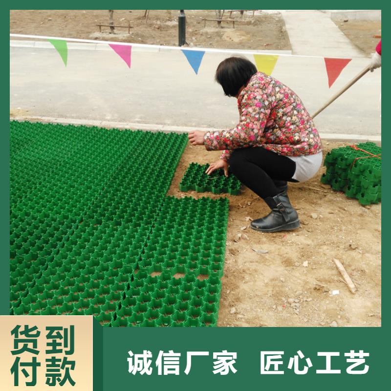 植草格价格-2025已更新