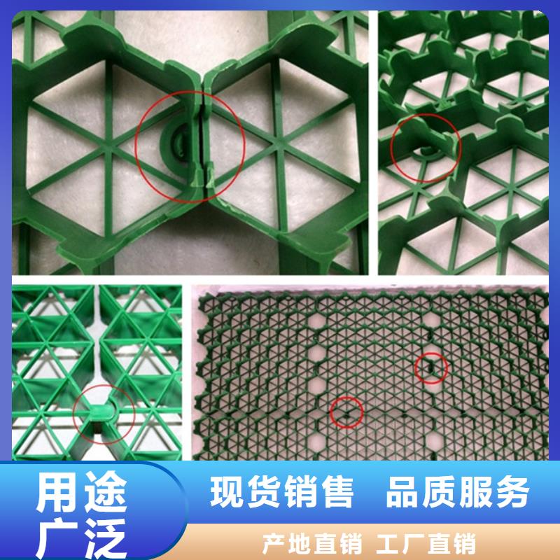 植草格实体厂家