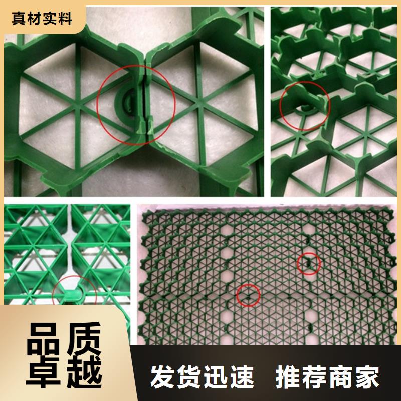 塑料植草格直供厂家