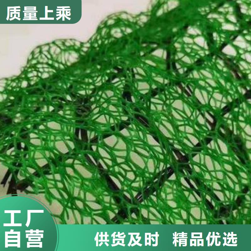 三维植被网水泥化粪池用好材做好产品