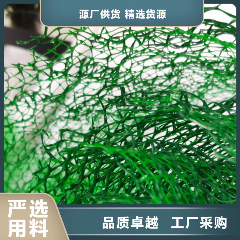 三维植被网【植草格】质保一年