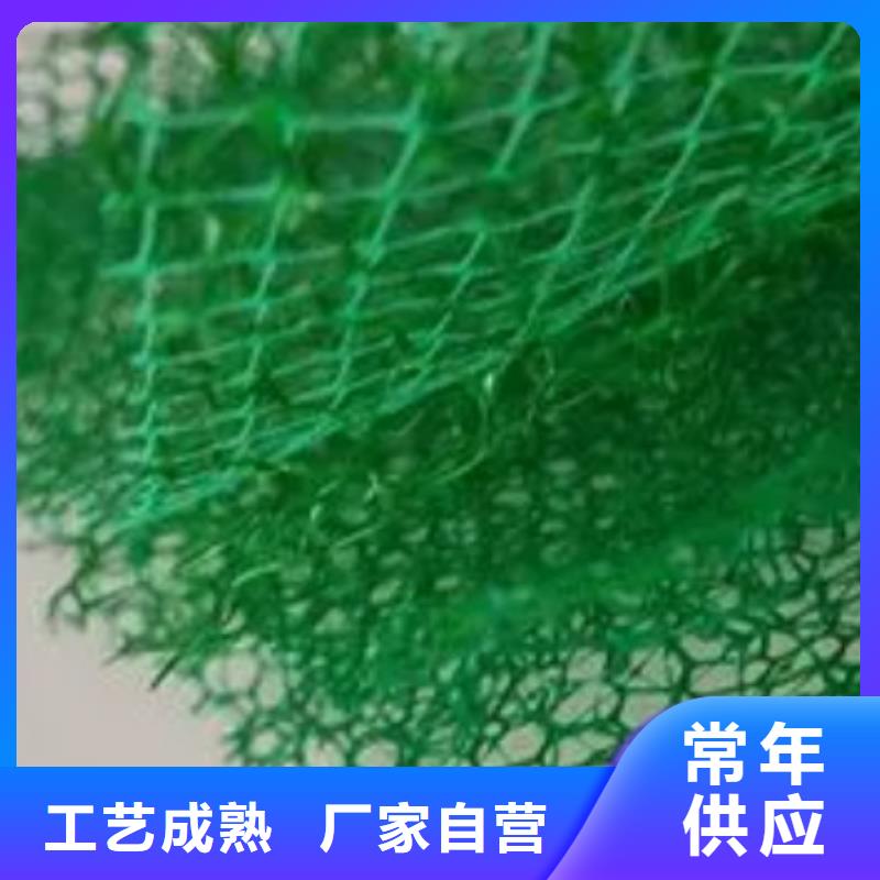 三维植被网排水板精工细作品质优良