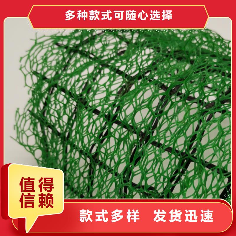 【三维植被网排水板量大更优惠】