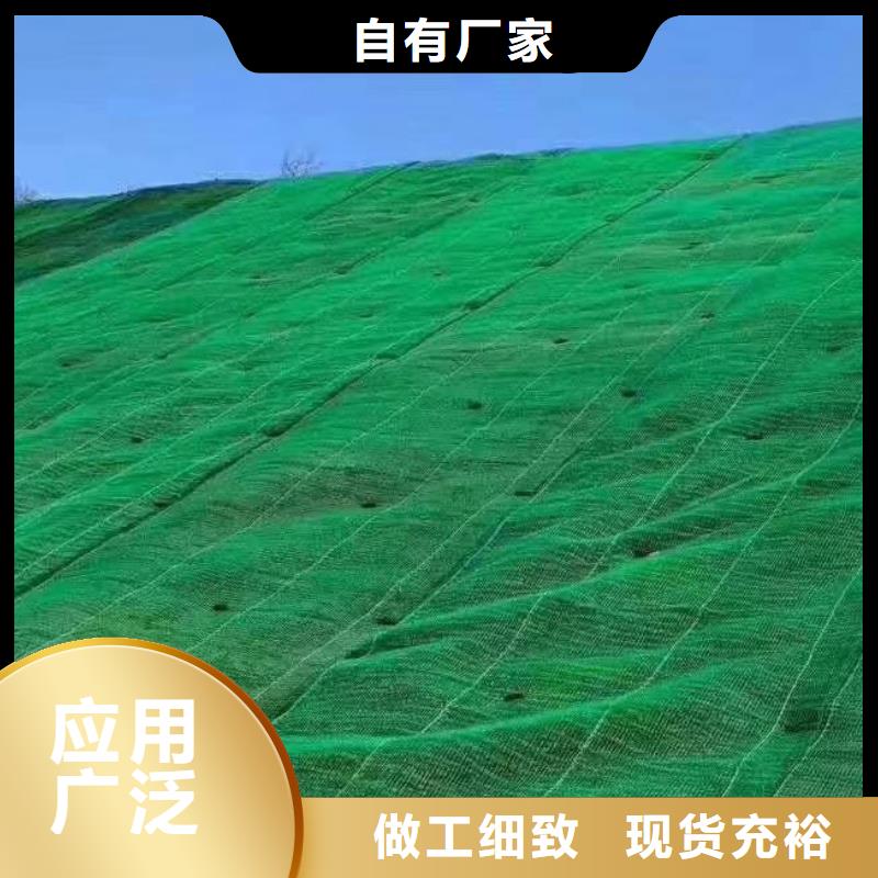 三维植被网_植草格拥有核心技术优势