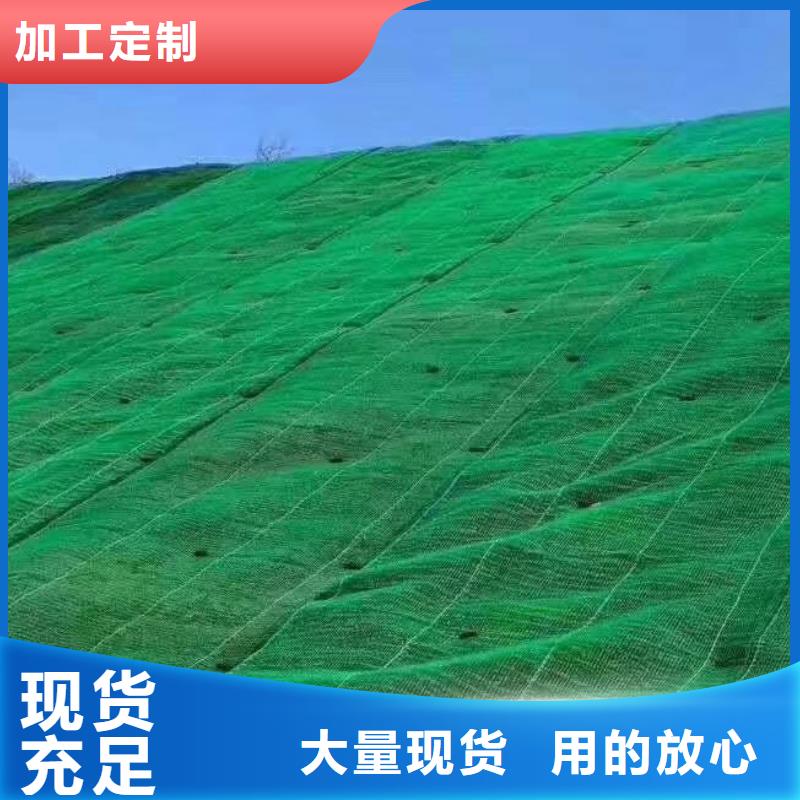 【三维植被网水泥化粪池今年新款】