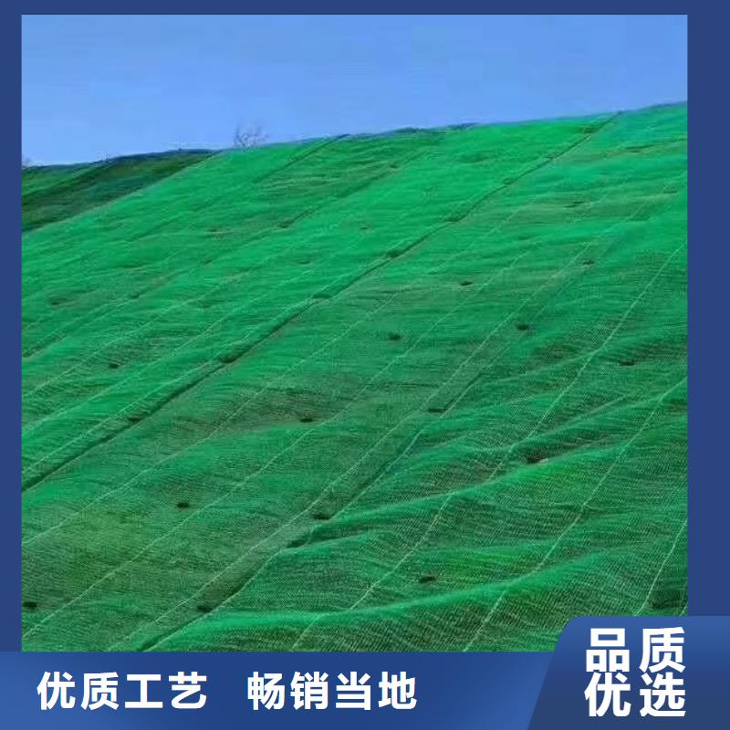 三维植被网供应商