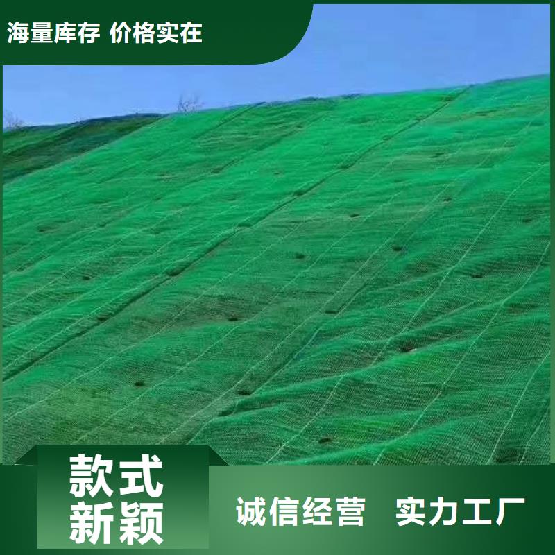 三维植被网防护虹吸排水收集系统实力见证