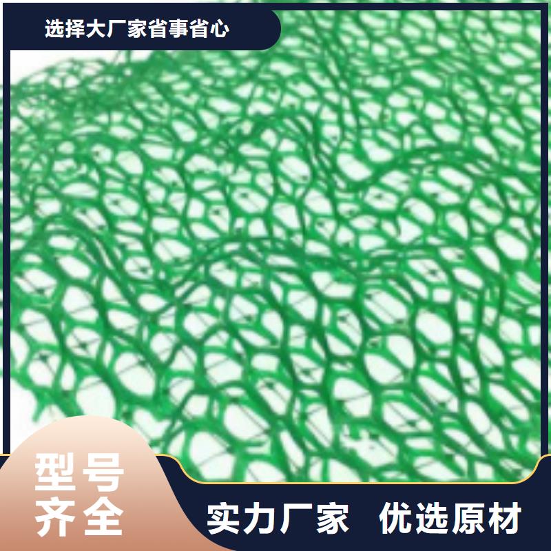 【三维植被网排水板免费回电】