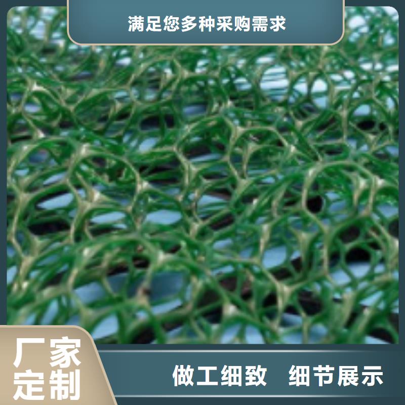 三维植被网防护虹吸排水收集系统工程施工案例