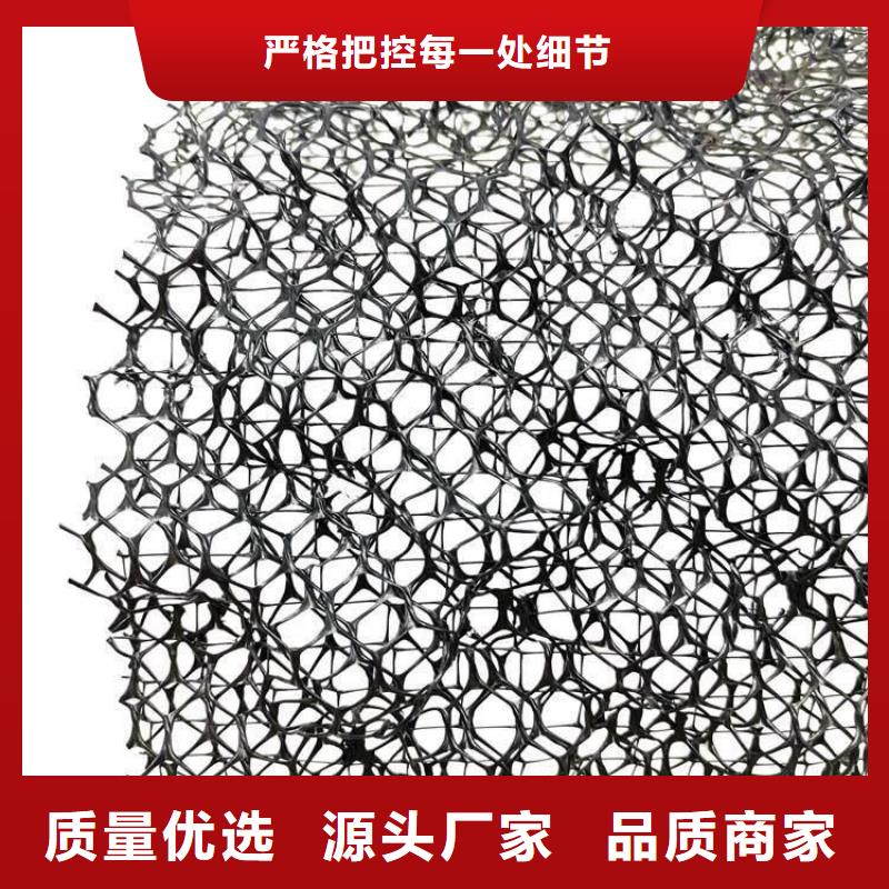 三维植被网排水板一手价格