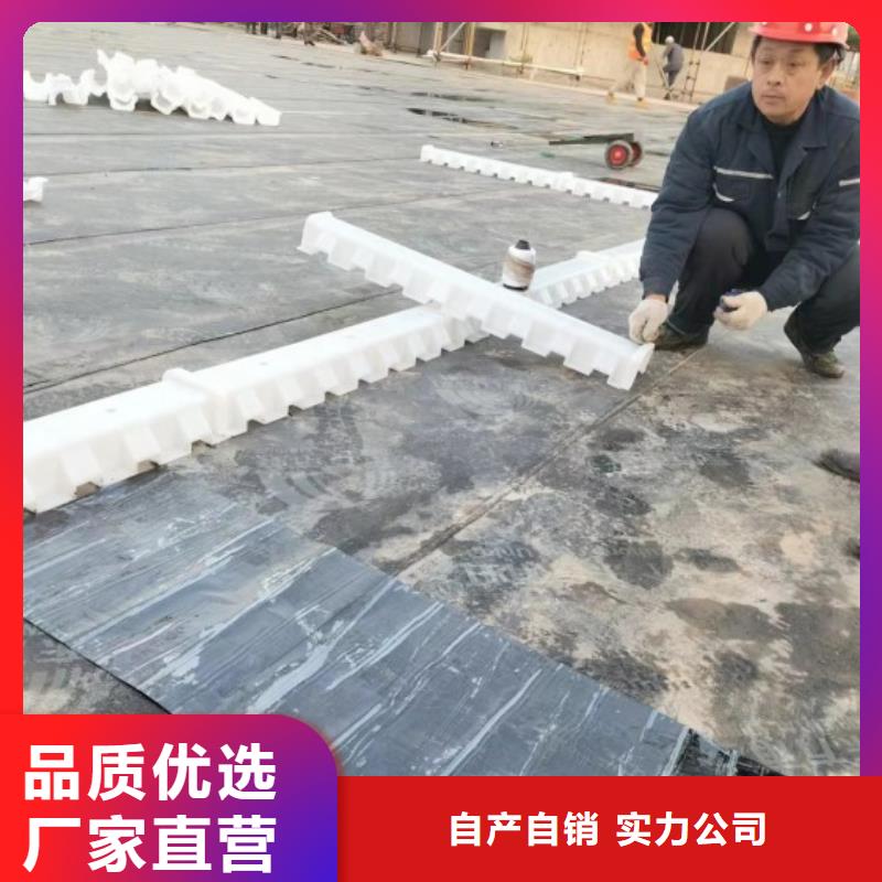 排水板土工格栅实力商家推荐