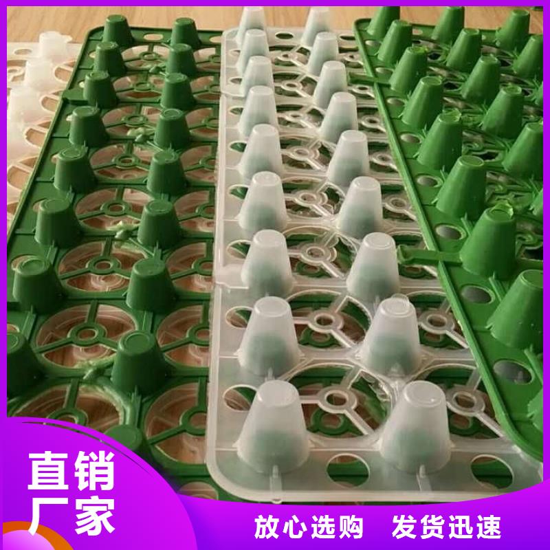 排水板植草格热销产品