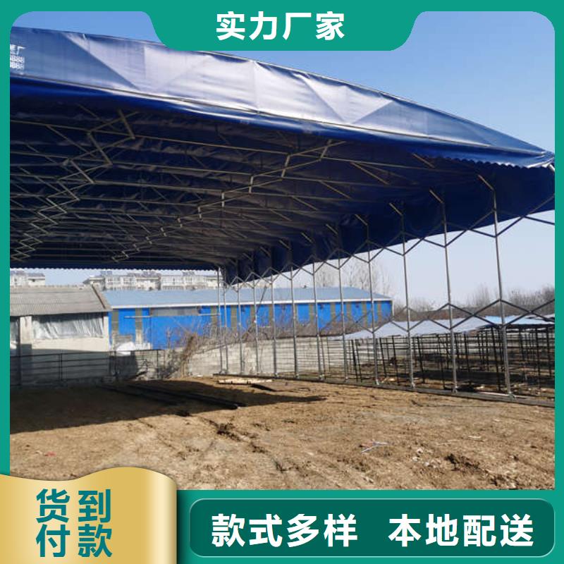 保亭县仓储物流帐篷施工团队