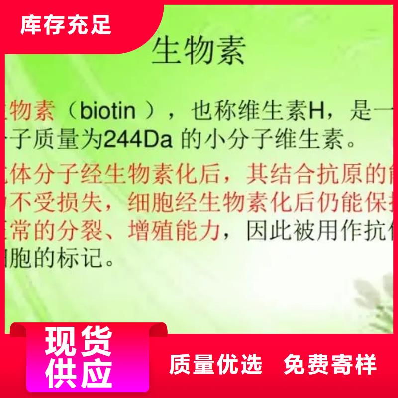 维成素B7参数