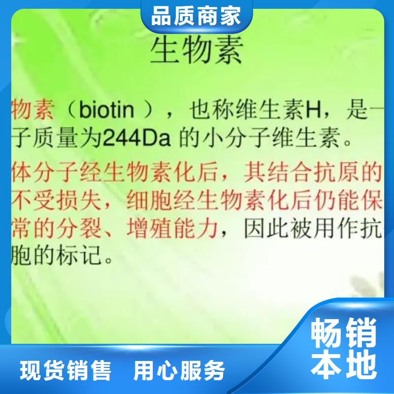 新和成生物素参数