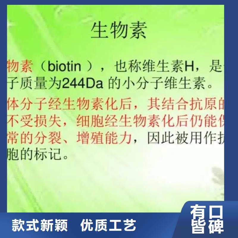 D-生物素批发