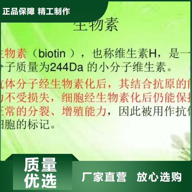 维成素B7用途