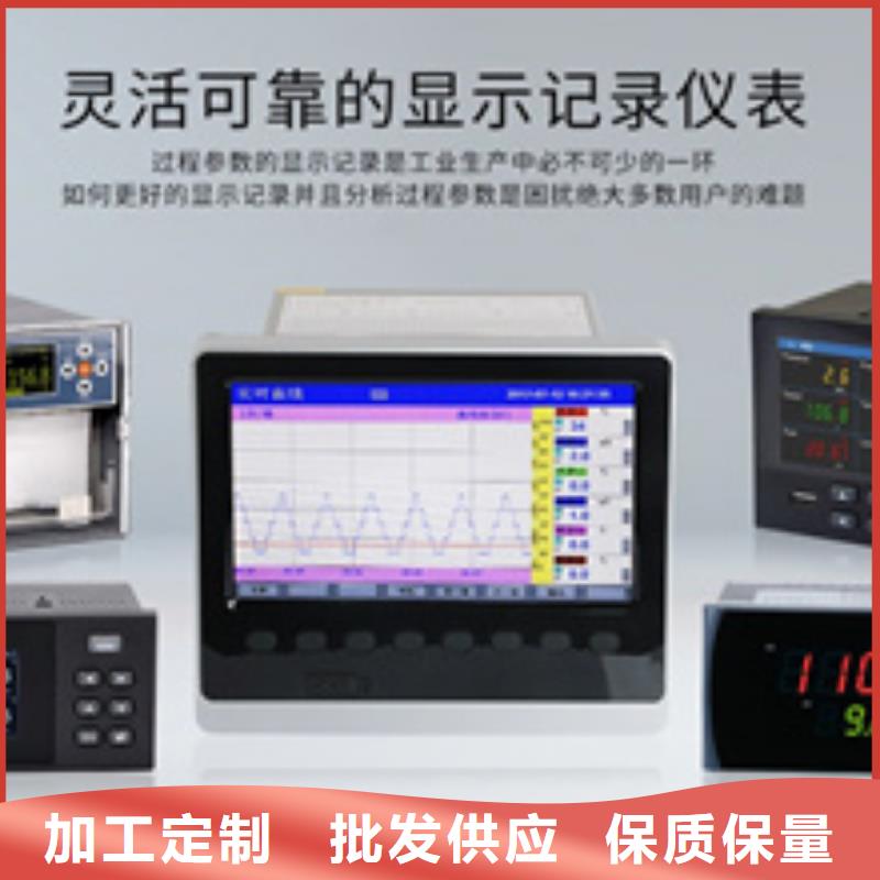 热电偶氧化锆氧量分析仪懂您所需