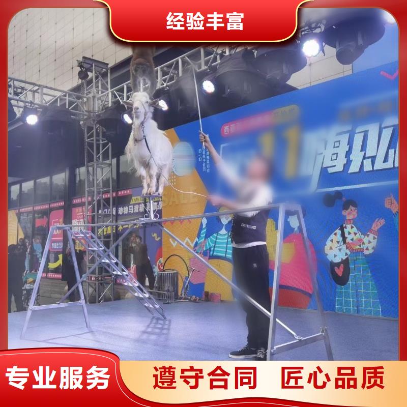 马戏团/羊驼【驯兽表演】拒绝虚高价