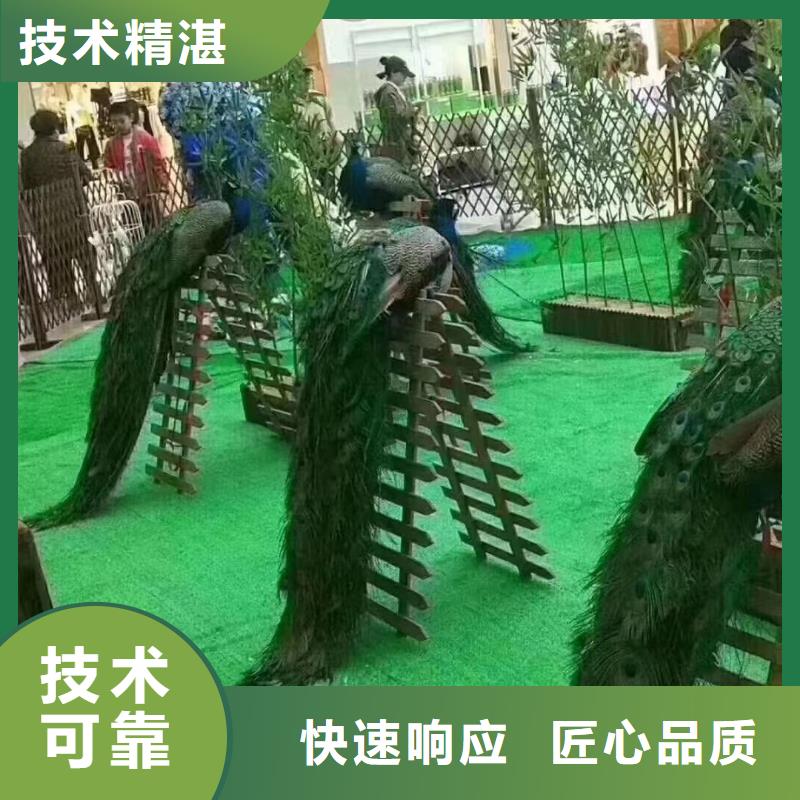 哪有出租马戏团的