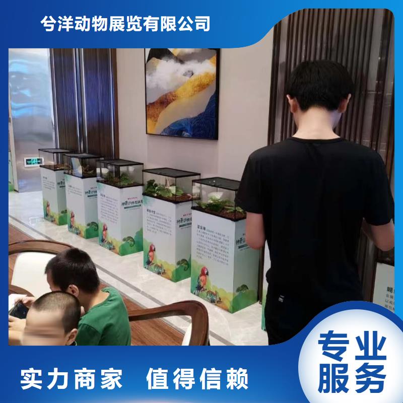 马戏团/羊驼萌宠动物展出租良好口碑