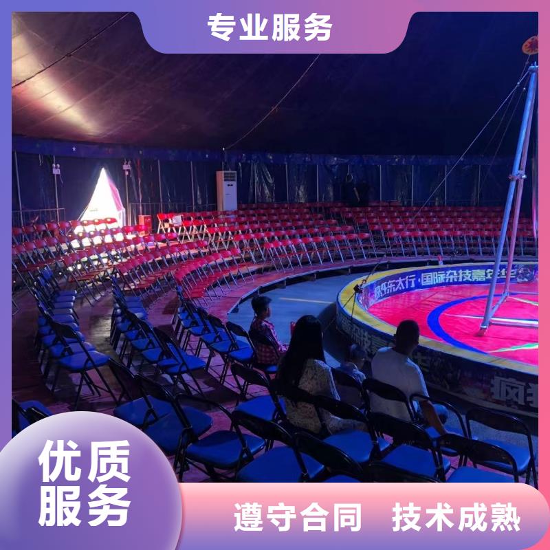 马戏团/羊驼马戏团表演高效