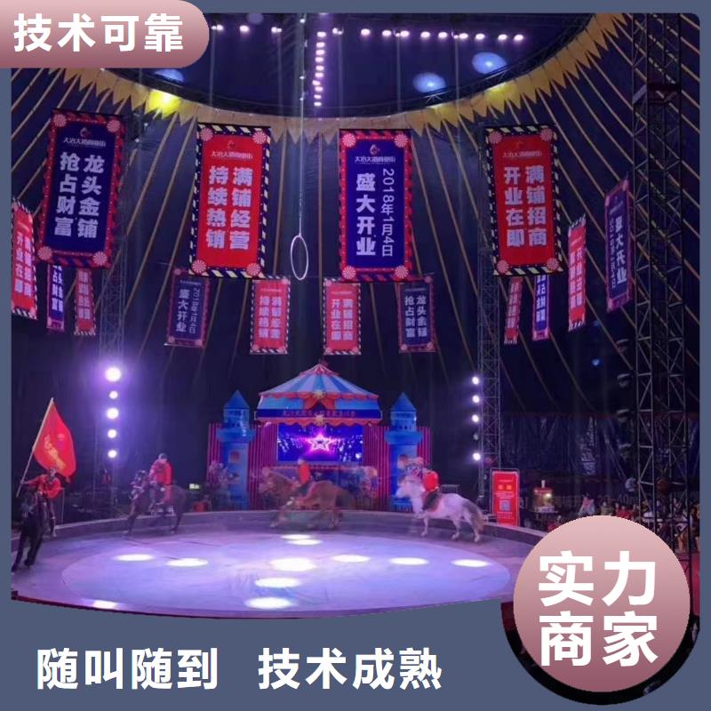 马戏团/羊驼鹦鹉表演实力强有保证