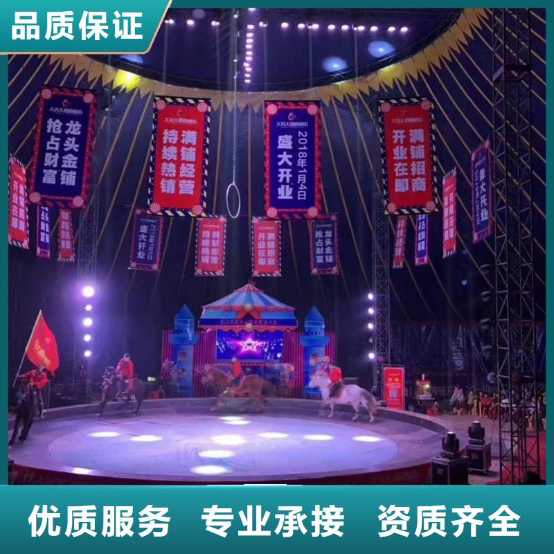 马戏团/羊驼 【企鹅表演出租】专业团队