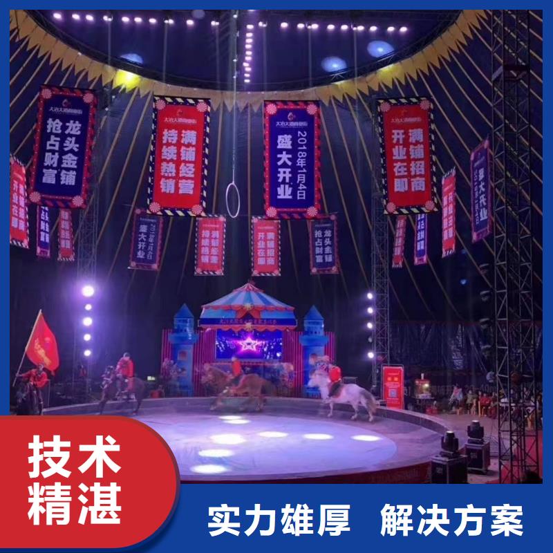 【马戏团/羊驼】海狮表演出租优质服务