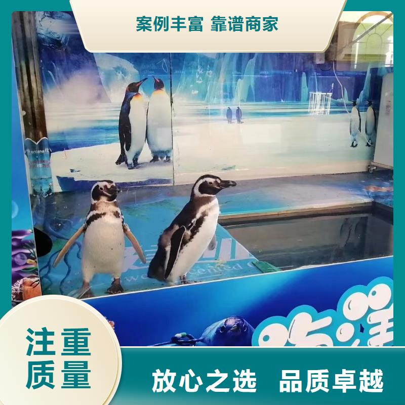 海洋生物展出租