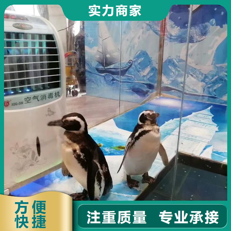 海洋生物展租赁公司