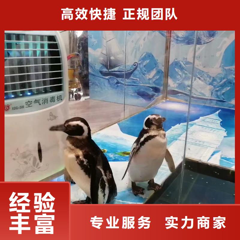 海洋生物展出租