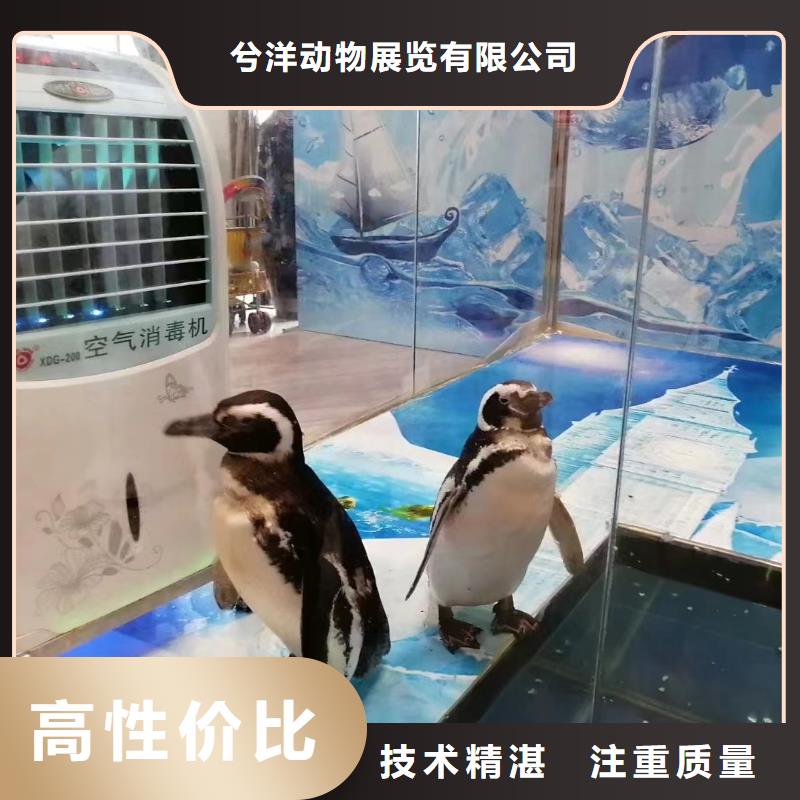 优质海洋生物展出租-海洋生物展出租厂家