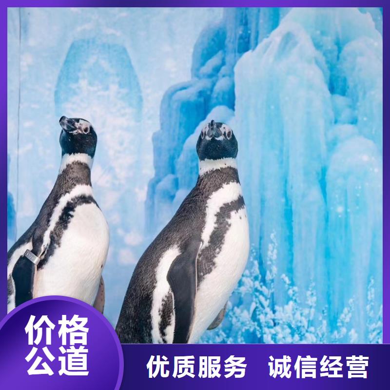 优质海洋生物展出租-海洋生物展出租厂家