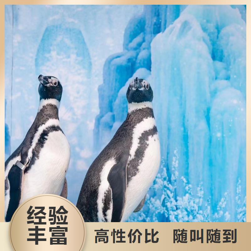 出租海洋生物展诚信厂家