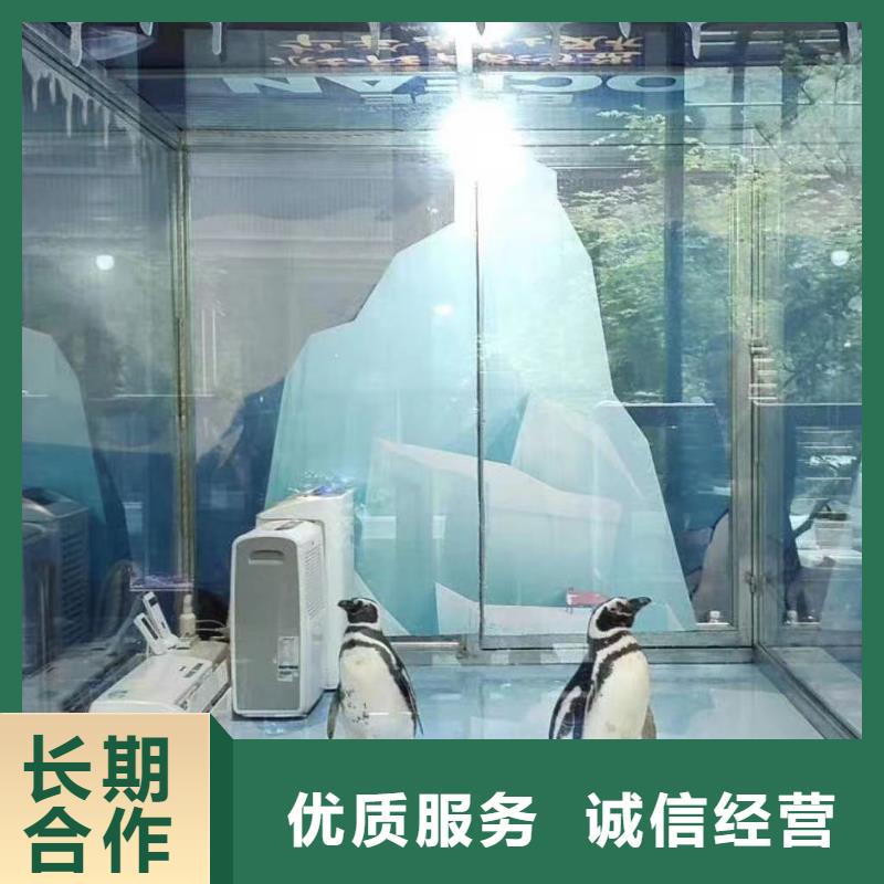 海洋生物展出租