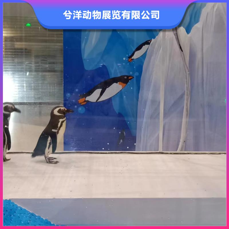 海洋展出租商场活动