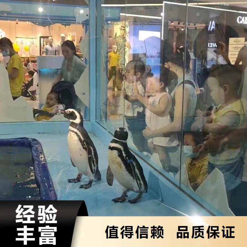 海洋生物展租赁可靠优惠