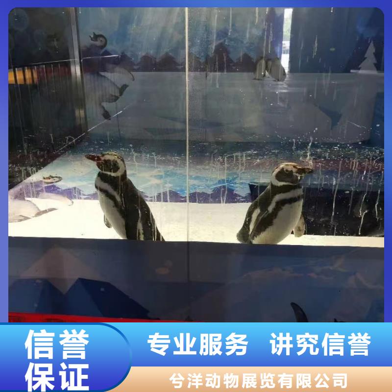 海洋生物展租赁可靠优惠