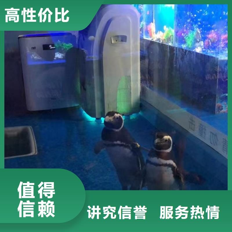 海洋生物展租赁可靠优惠