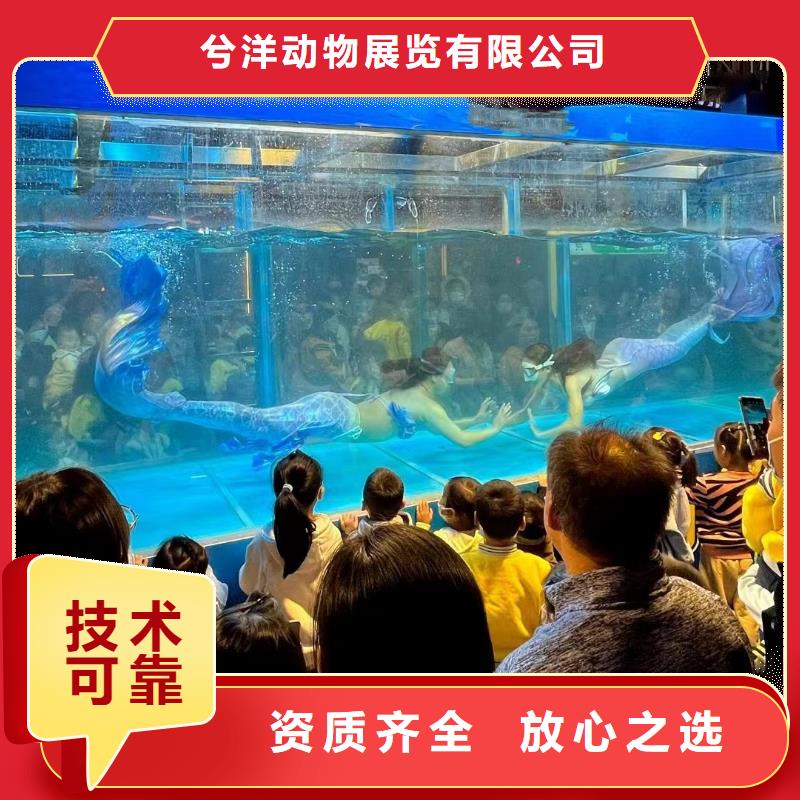 海洋生物展出租